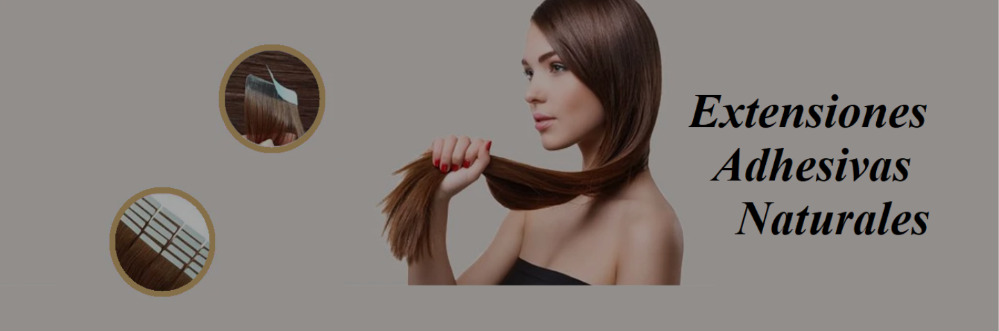 header extensiones