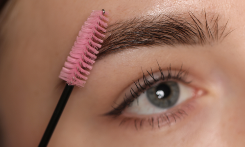 seccion estetica